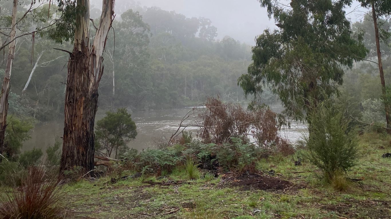 Best Day Hikes near Melbourne using Public Transport 🥾