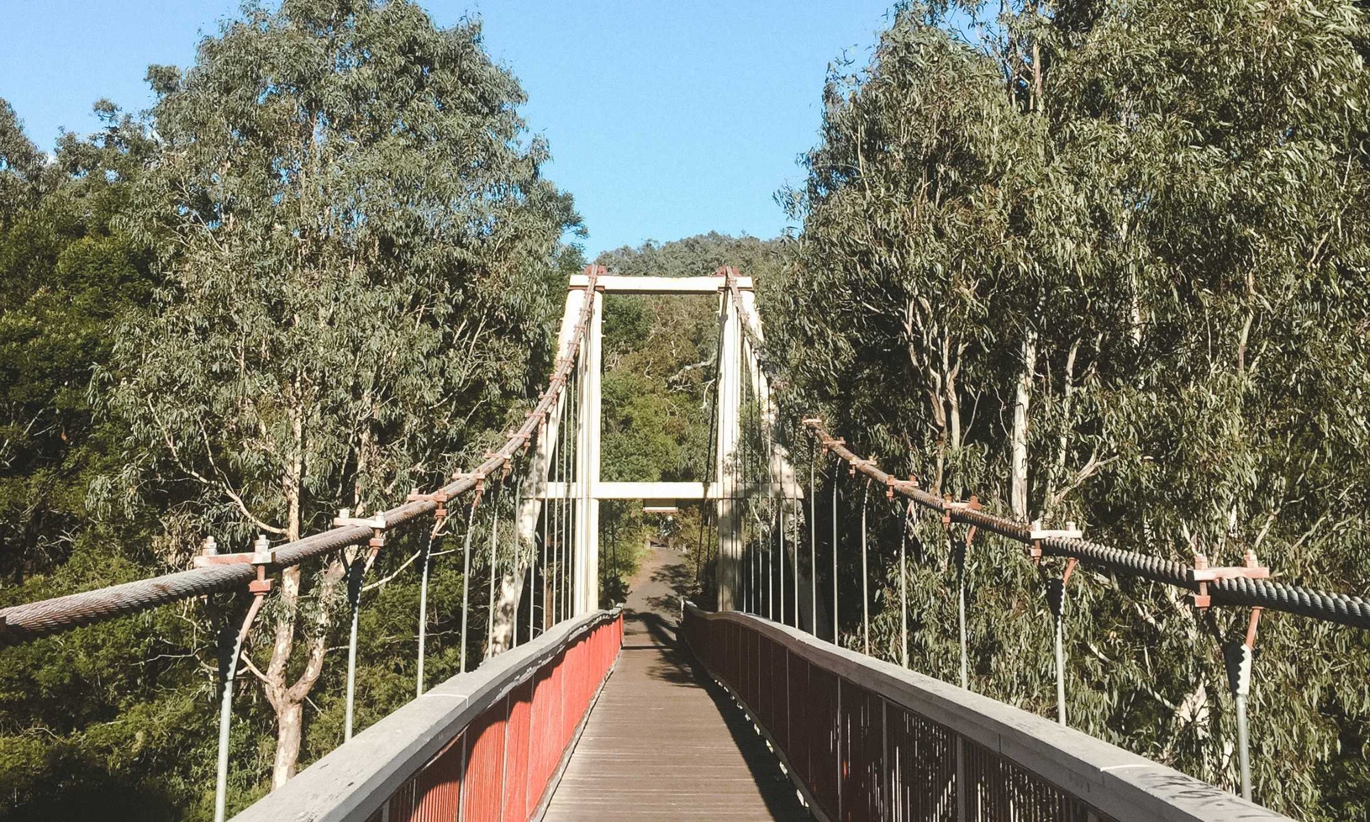 Best Day Hikes near Melbourne using Public Transport 🥾