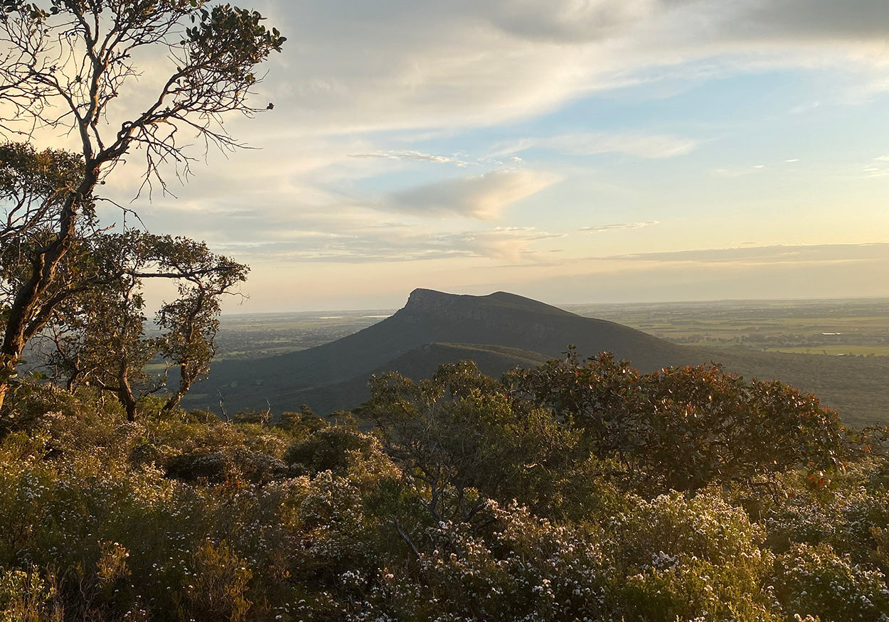 Best Autumn Hikes in Victoria