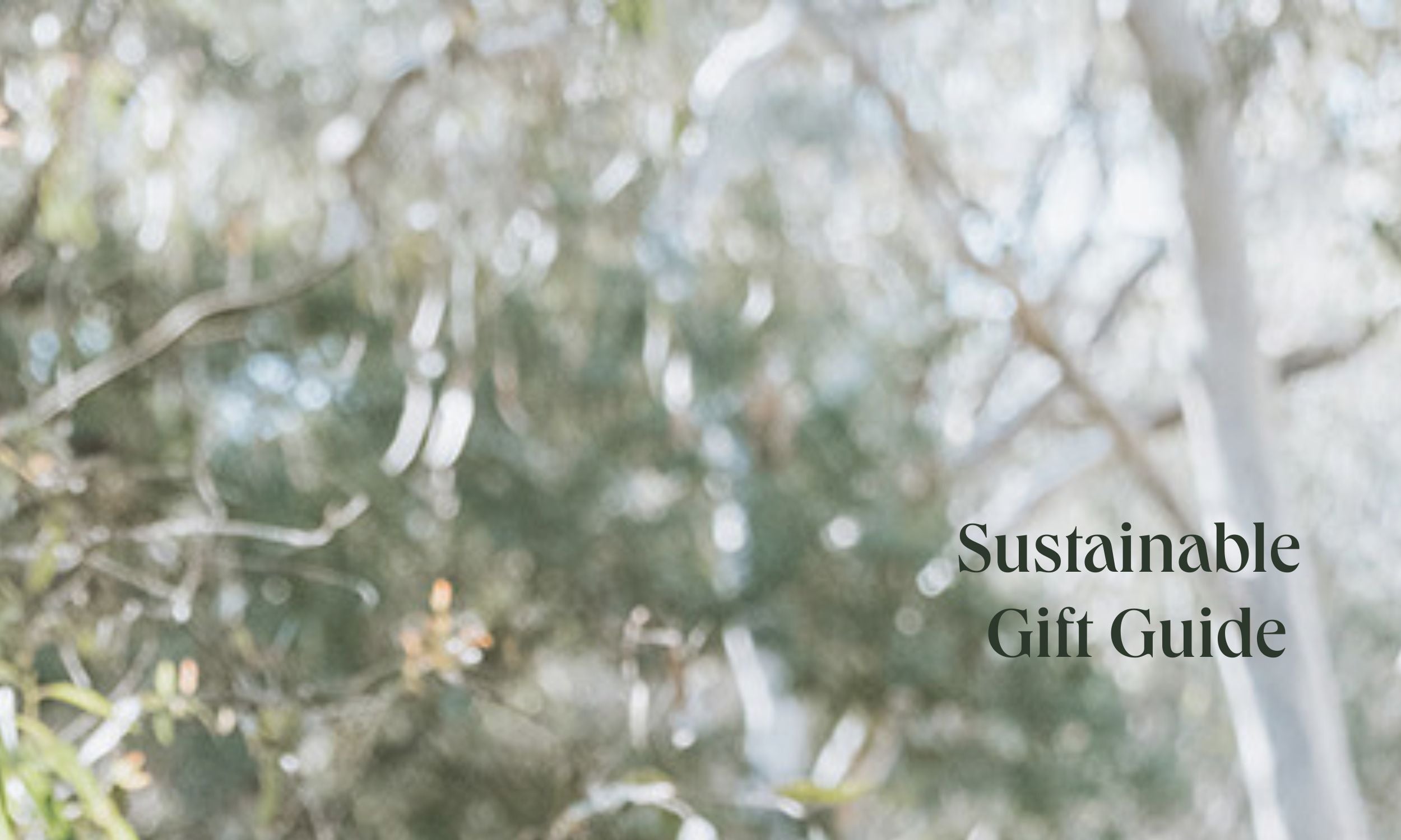 Sustainable gift guide