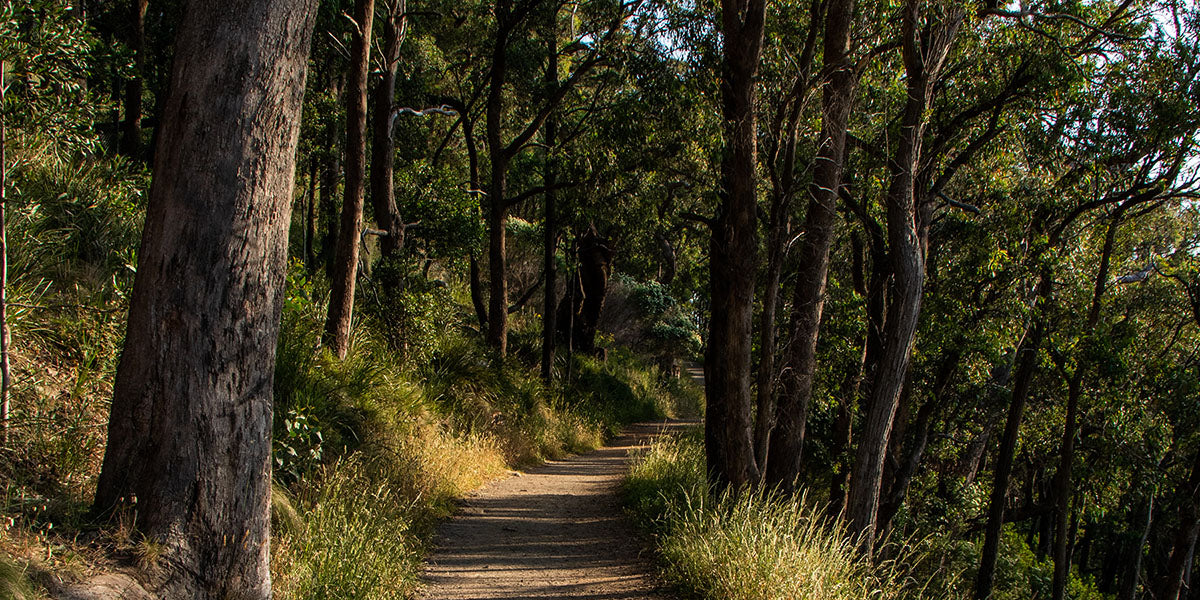 25 Short Hikes within 25km of Melbourne