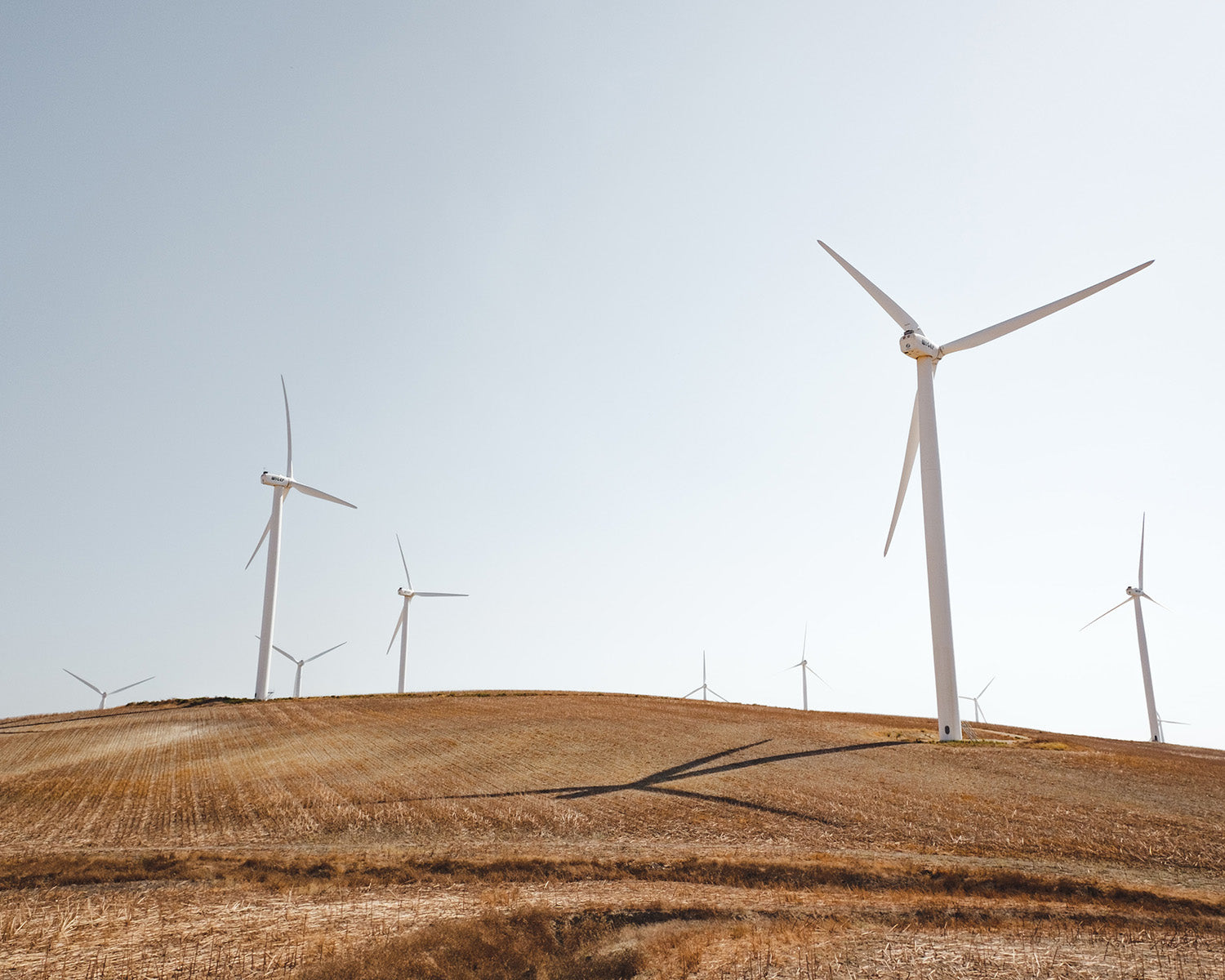 Amble_carbon_neutral_wind_farm.jpg